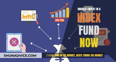 Index Funds: Invest Now or Miss Out?