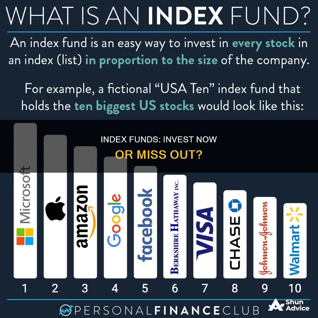 should I invest in a index fund now