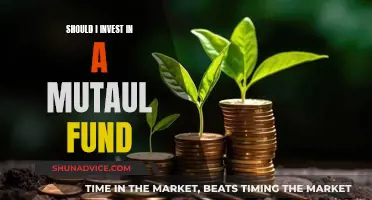 Mutual Fund Investment: Is It Right for You?