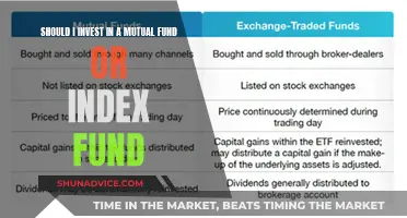 Mutual Fund or Index Fund: Where Should You Invest?