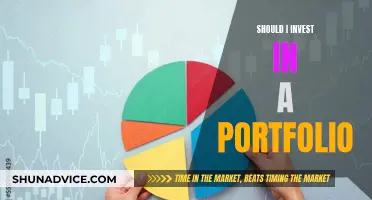 Investing in a Portfolio: Pros and Cons