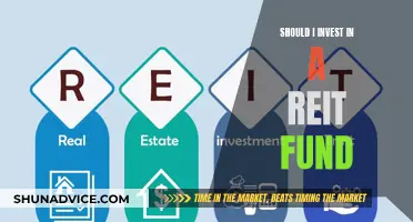 REIT Funds: Smart Investment or Risky Business?