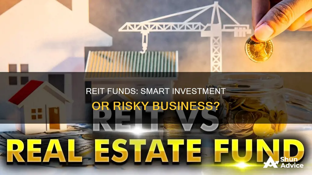 should I invest in a reit fund