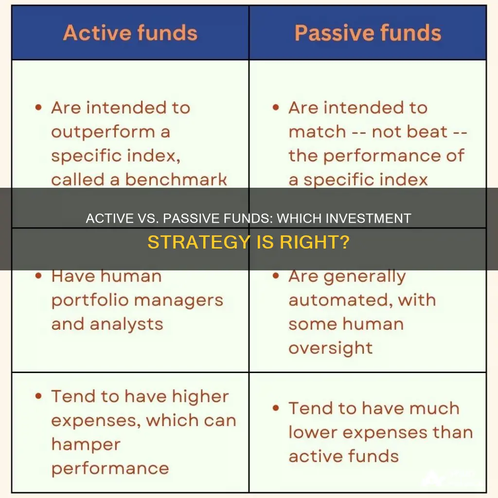 should I invest in active or passive funds