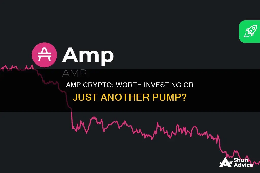 should I invest in amp crypto