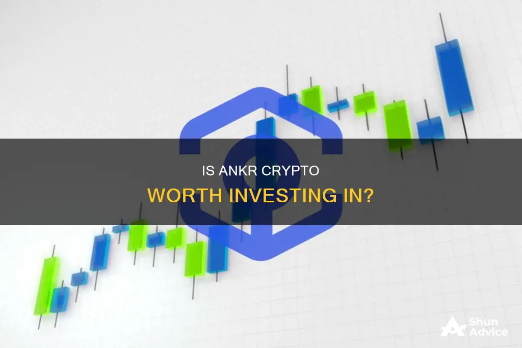 should I invest in ankr crypto