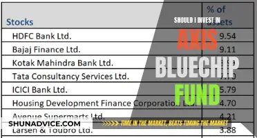 Axis Bluechip Fund: Is It Worth Your Investment?