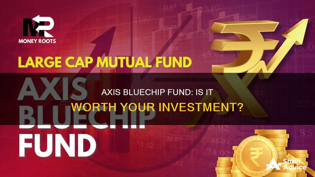 should I invest in axis bluechip fund