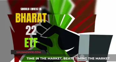 Investing in Bharat 22 ETF: Is It Worth It?