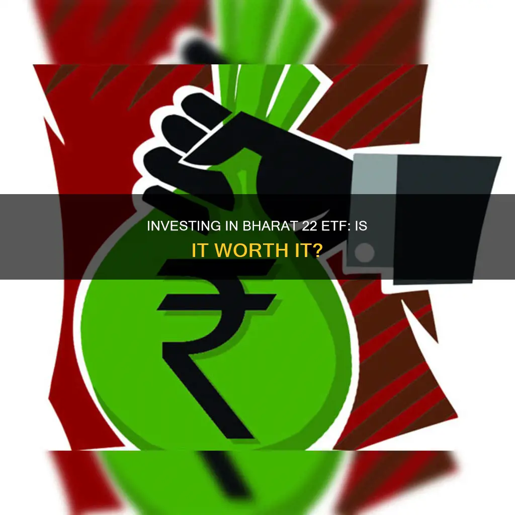 should I invest in bharat 22 etf