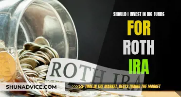 Big Funds for Roth IRA: Worth the Investment?