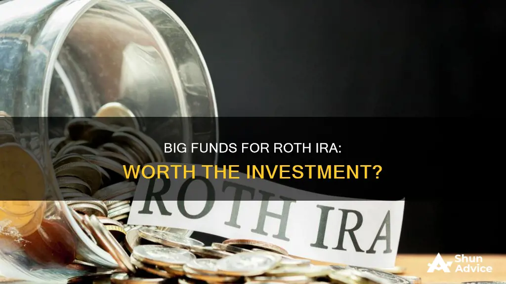 should I invest in big funds for roth ira