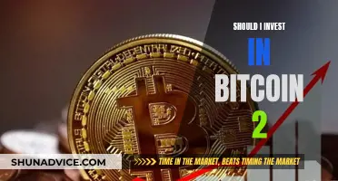 Bitcoin Investment: Is It Still Worth It?