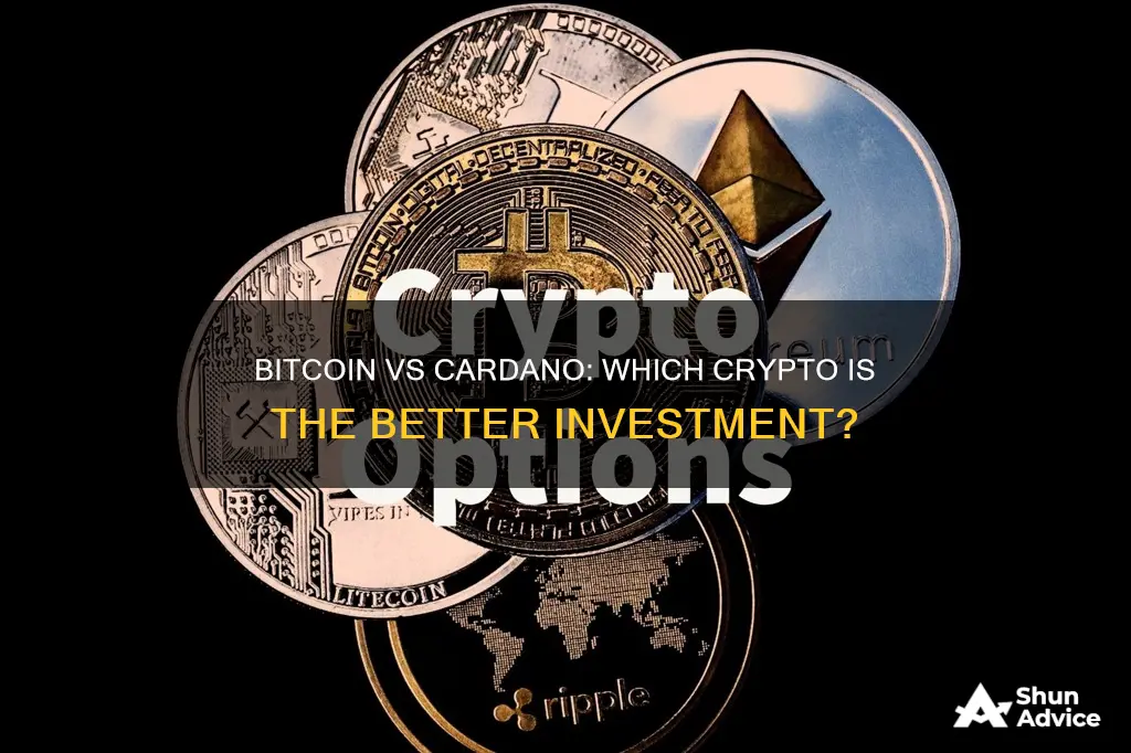 should I invest in bitcoin or cardano