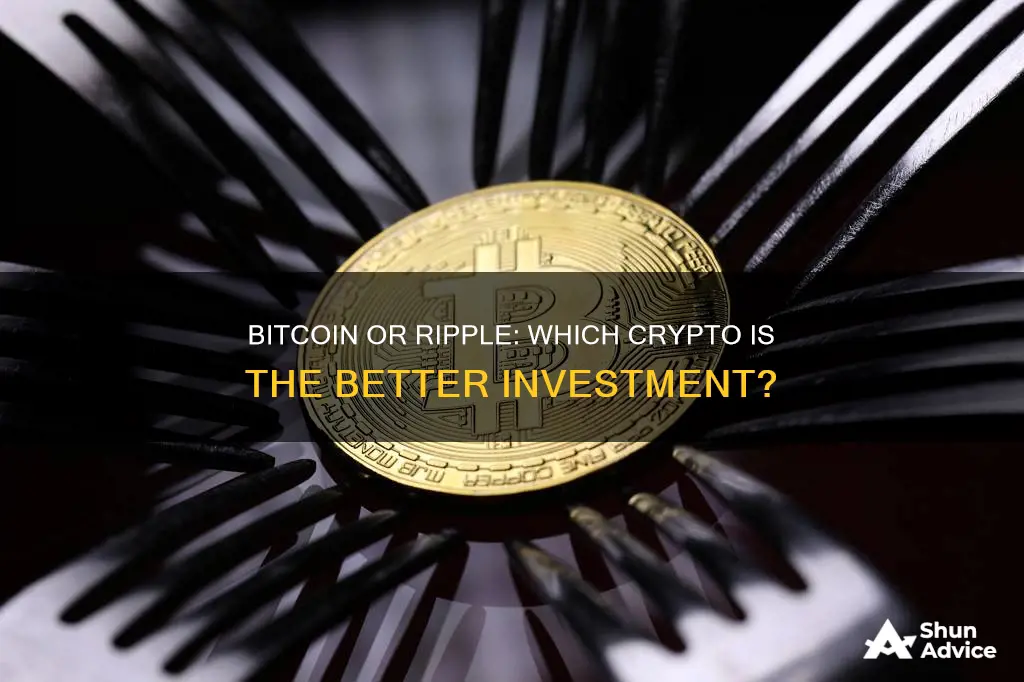 should I invest in bitcoin or ripple