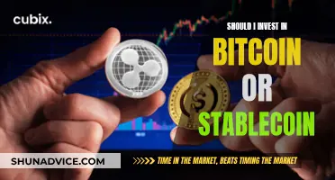 The Future of Crypto: Bitcoin or Stablecoin?