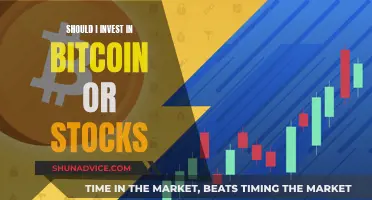 Bitcoin or Stocks: Where to Invest Your Money?