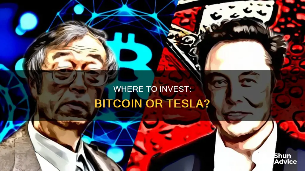 should I invest in bitcoin or tesla