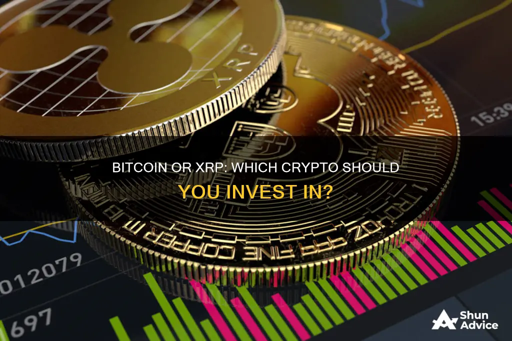 should I invest in bitcoin or xrp