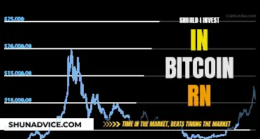 Bitcoin Investment: Is It Too Late to Enter?