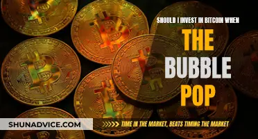 Bitcoin Bubble Pop: Time to Invest or Run Away?