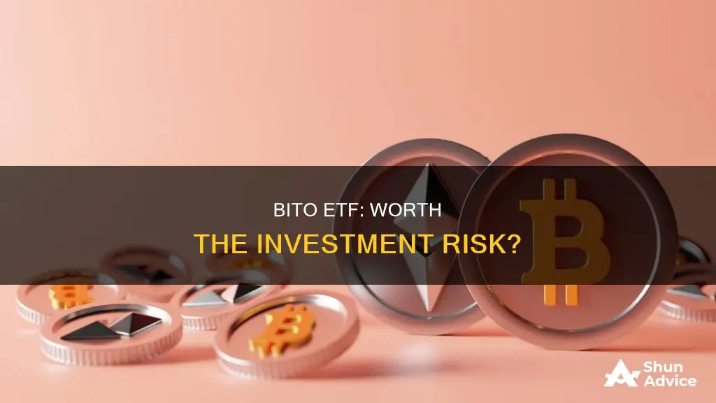 should I invest in bito etf