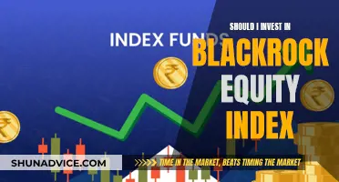 BlackRock Equity Index: A Smart Investment Move?