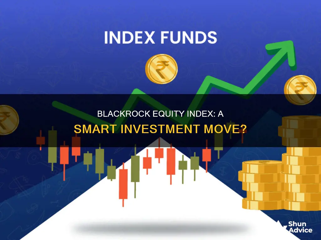 should I invest in blackrock equity index