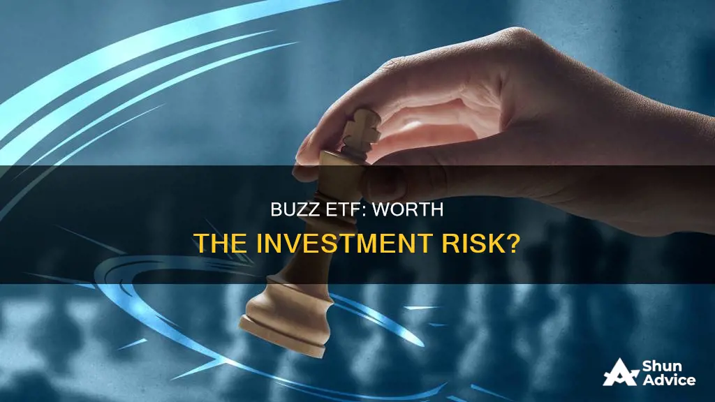 should I invest in buzz etf