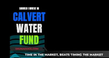 Calvert Water Fund: A Smart Investment Strategy?