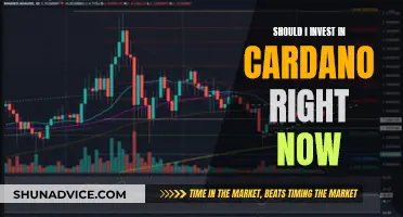 Cardano: Invest Now or Miss Out?