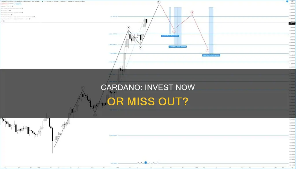 should I invest in cardano right now