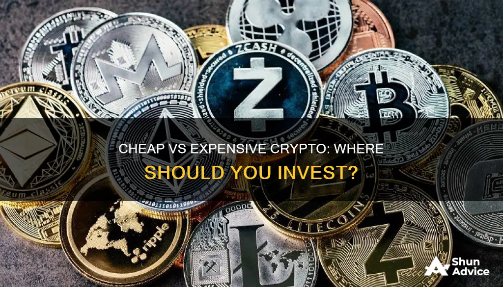 should I invest in cheaper or expensive crypto currencies