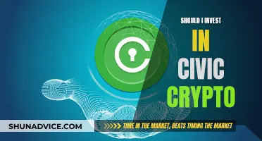 Civic Crypto: Smart Investment or Risky Business?