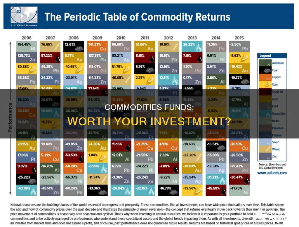 should I invest in commodities funds