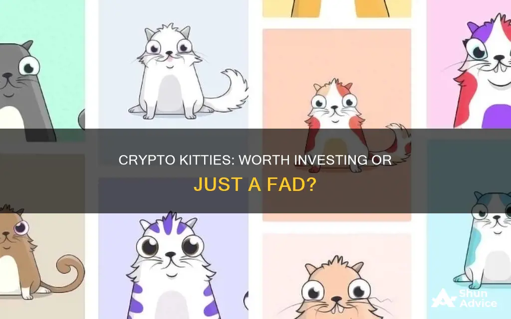 should I invest in crypto kitties