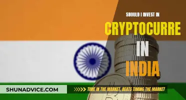 Cryptocurrency in India: Worth Investing or Not?