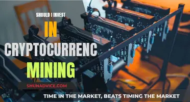 Cryptocurrency Mining: Worth Your Investment?