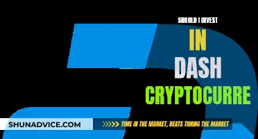 Dash Cryptocurrency: Worth Investing or Just Another Bubble?