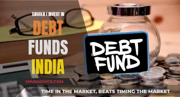 Debt Funds in India: Worth the Investment Risk?