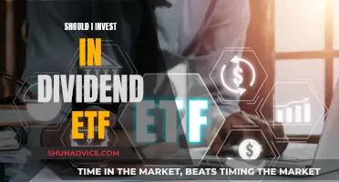 Dividend ETF Investment: Smart Move or Risky Bet?