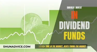 Dividend Funds: Smart Investment or Risky Business?