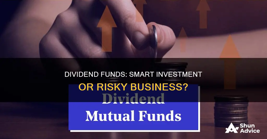 should I invest in dividend funds