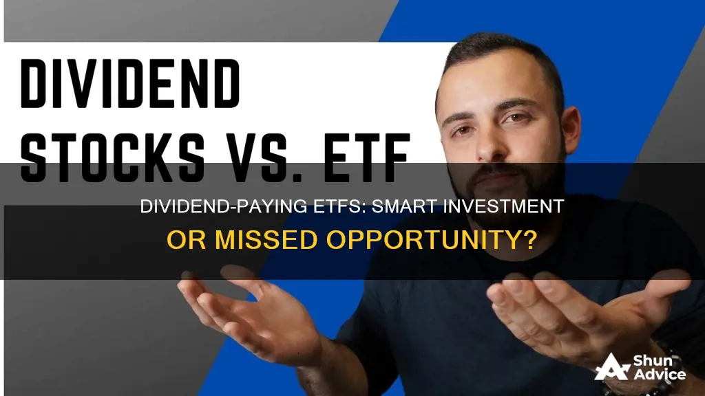 should I invest in dividend paying etfs