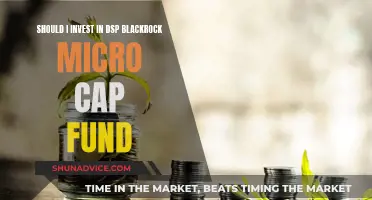 Micro Cap Fund: DSP Blackrock's Smart Investment Option