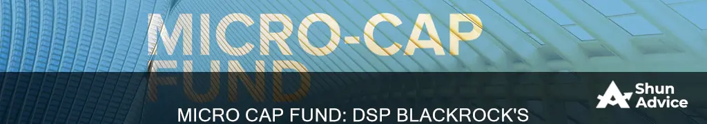 should I invest in dsp blackrock micro cap fund