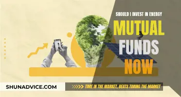 Energy Mutual Funds: Invest Now or Wait?