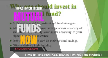 Equity Mutual Funds: Invest Now or Miss Out?