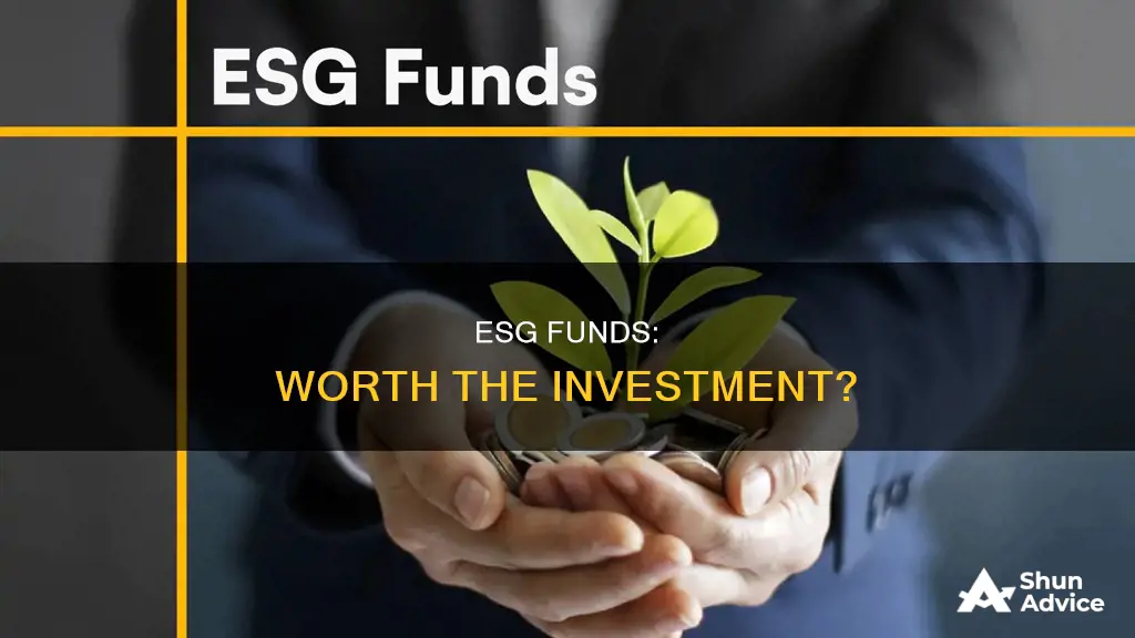 should I invest in esg funds