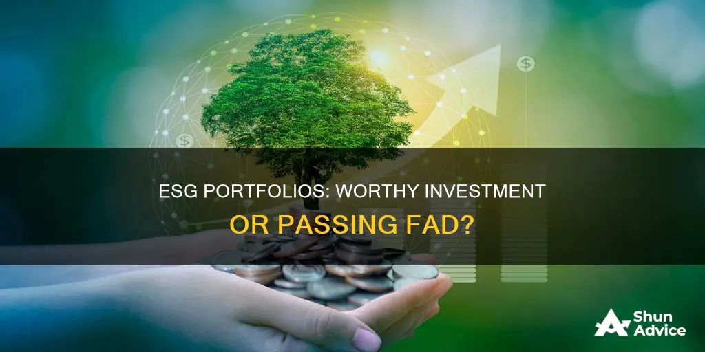 should I invest in esg portfolios